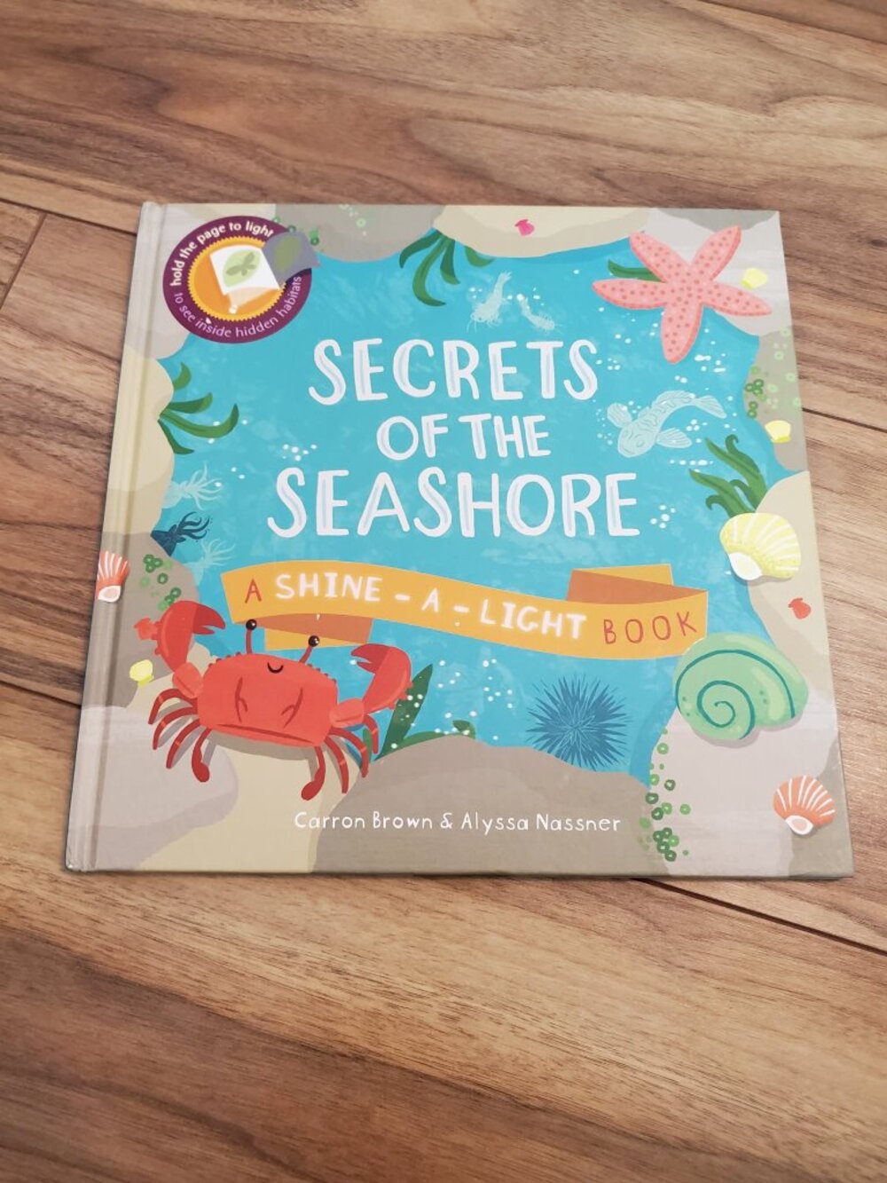 Secrets of the Seashore Hard Cover Book